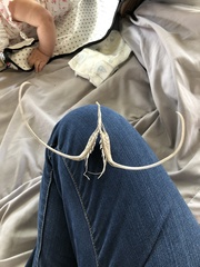 Proboscidea louisianica