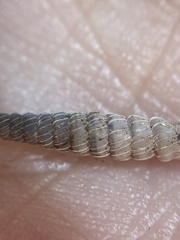 Brachypodella speluncae