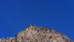 Pyrrhocorax graculus