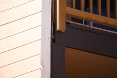 Sitta pygmaea melanotis