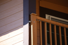 Sitta pygmaea melanotis