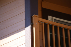 Sitta pygmaea melanotis