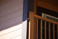 Sitta pygmaea melanotis