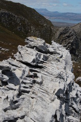 Sonderothamnus petraeus