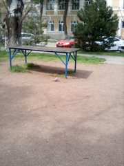 Streptopelia decaocto