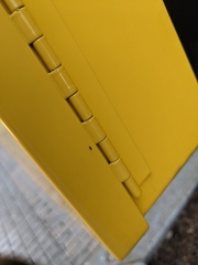 Holoplagia guamensis