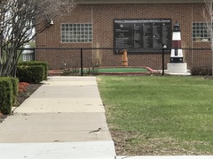 Charadrius vociferus