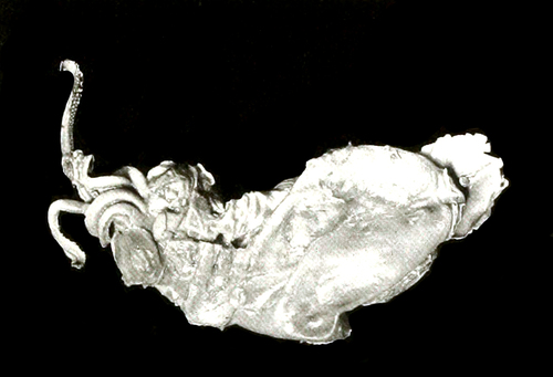 Representative image of Megalocranchia