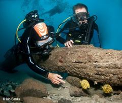 Cleidopus gloriamaris