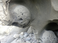 Amaurobioides