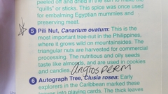 Canarium ovatum