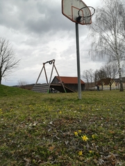 Ficaria verna calthifolia