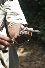 Thamnosophis lateralis