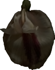 Clitoria javitensis