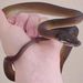 D’Albertis' Python - Photo (c) User:Dawson, some rights reserved (CC BY-SA)