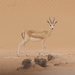 Sand Gazelle - Photo (c) blackdogto, some rights reserved (CC BY-NC), uploaded by blackdogto