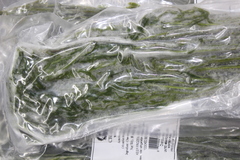 Senegalia brevispica dregeana