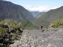 Stereocaulon vulcani