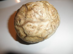 Lycoperdaceae