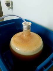 Saccharomyces cerevisiae