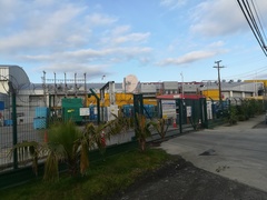 Theristicus melanopis