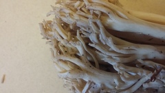 Ramaria acrisiccescens