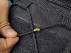 Rhodopsona marginata