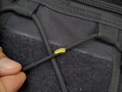 Rhodopsona marginata