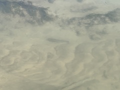 Micropterus dolomieu