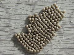 Calliteara pseudabietis