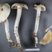 Cortinarius cretax - Photo (c) David Orlovich, some rights reserved (CC BY), uploaded by David Orlovich