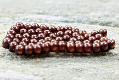 Eocanthecona furcellata