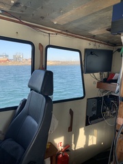 Somateria mollissima