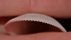 Acrosterigma impolitum