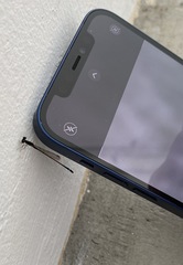 Mortonagrion arthuri