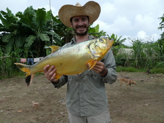 Amazon Pellona photo 3