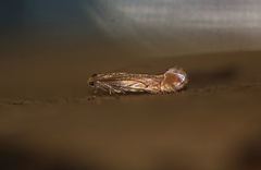 Phyllonorycter messaniella