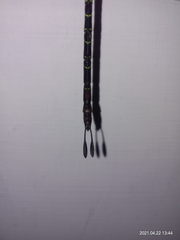 Gynacantha basiguttata