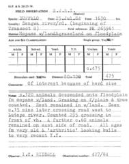 Syncerus caffer caffer