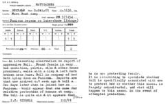 Syncerus caffer caffer