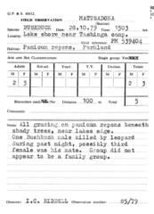 Tragelaphus sylvaticus sylvaticus