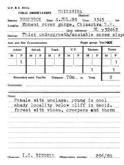 Tragelaphus sylvaticus sylvaticus