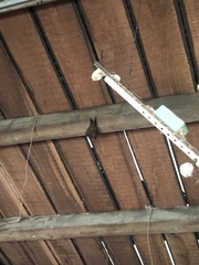 Rhinolophus formosae