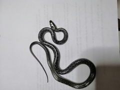 Lycodon capucinus