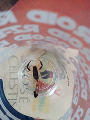 Centruroides fulvipes