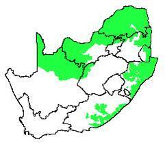The distribution of Savanna in southern Africa