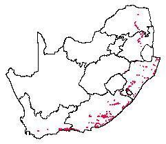 The distribution of Afrotemperate Forest in southern Africa