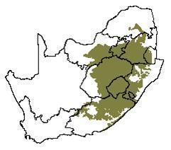 The distribution of Grassveld in southern Africa