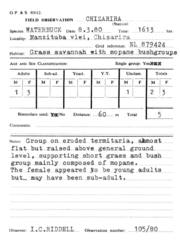 Kobus ellipsiprymnus