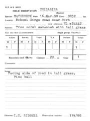 Kobus ellipsiprymnus